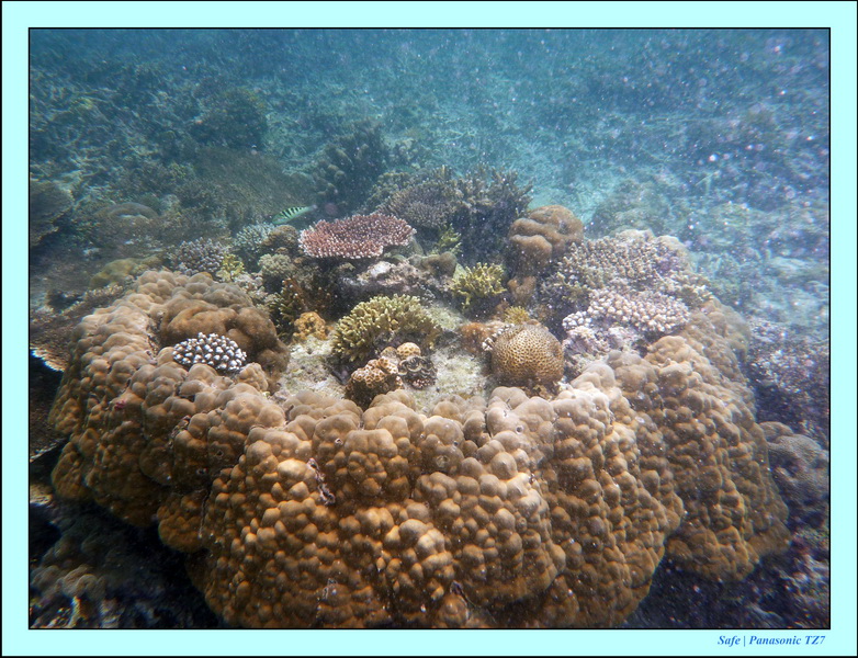 2009    07    Manatabuan 28